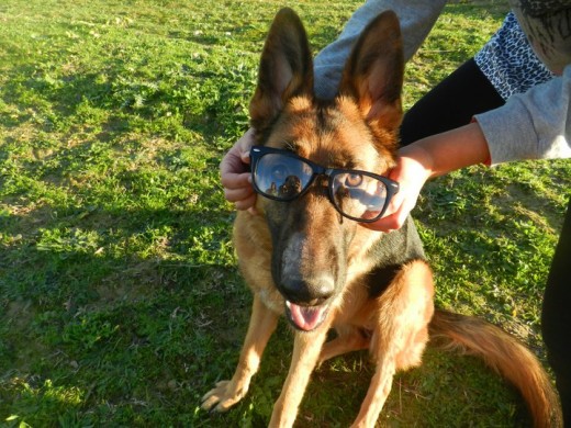 A Diana le encanta pasear por el campo y bañarse.